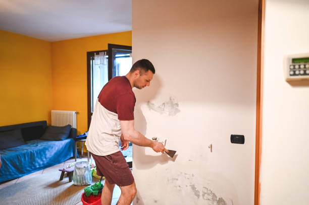 Best HVAC Mold Remediation in Sully Square, VA